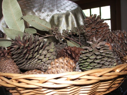 home decor Pine cones for grates and baskets
